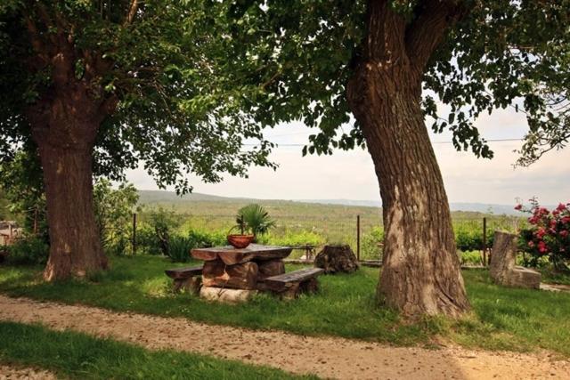 Apartman Ucka In Istria Kozljak